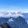 刘艳琼